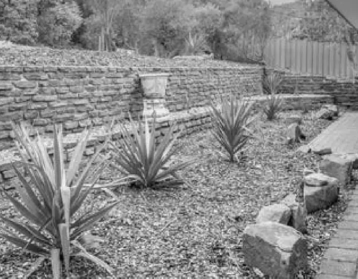 Landscaped grounds with rock wall and agave plants